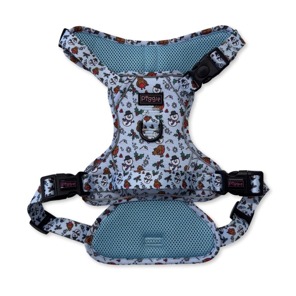 Mr Robin Explorer Dog Harness